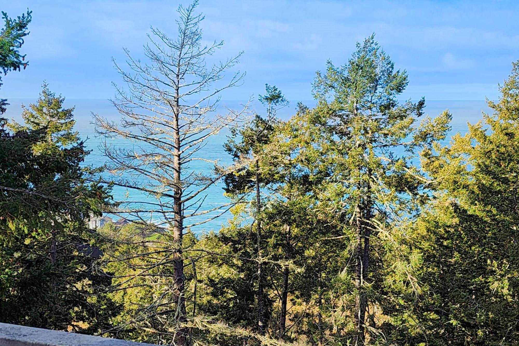 Shelter Cove Happy Hill Retreatヴィラ 部屋 写真